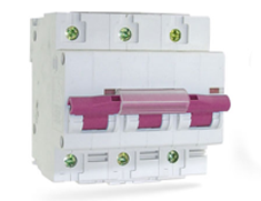 Anura ELectric Accessiores